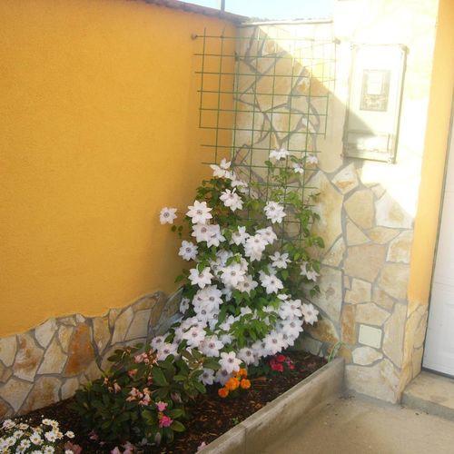 Kustanygyongye Vendeghaz Kehidakustany Apartment Екстериор снимка
